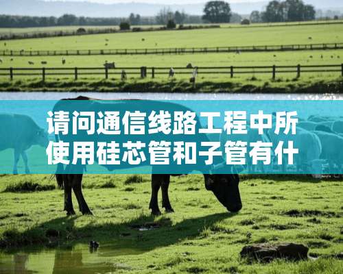 请问通信线路工程中所使用硅芯管和子管有什么区别，是不是同一个事物？