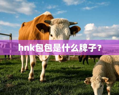 hnk包包是什么牌子？