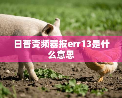 日普变频器报err13是什么意思