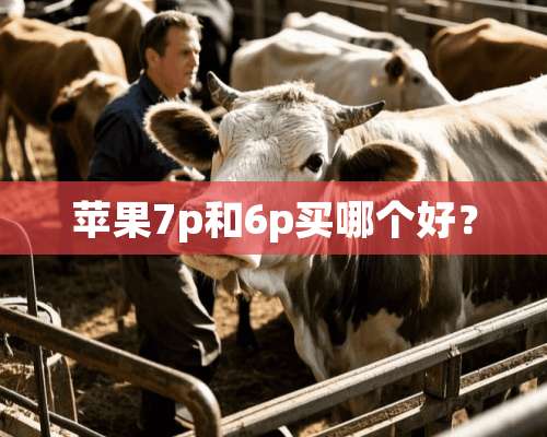 苹果7p和6p买哪个好？