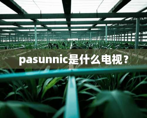 pasunnic是什么电视？