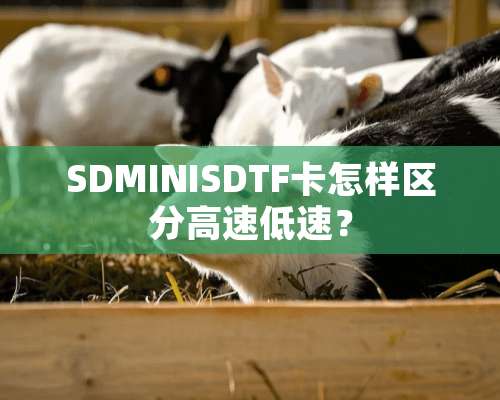 SDMINISDTF卡怎样区分高速低速？