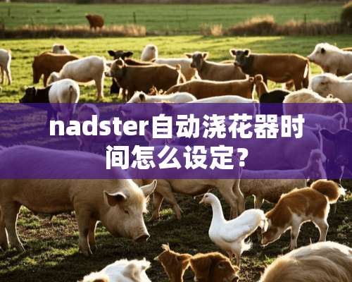 nadster自动浇花器时间怎么设定？