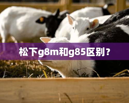 松下g8m和g85区别？