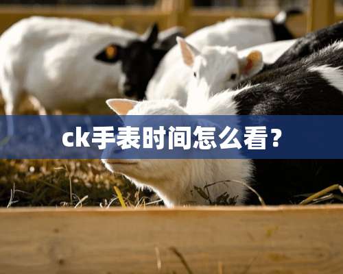 ck手表时间怎么看？