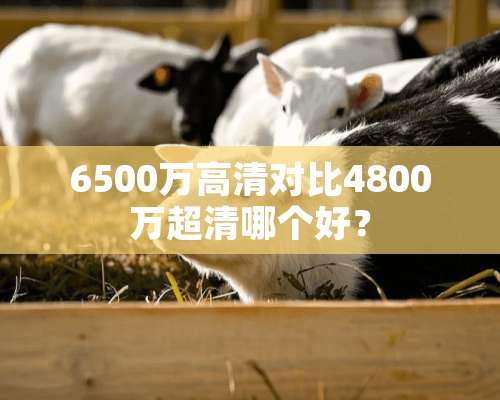 6500万高清对比4800万超清哪个好？