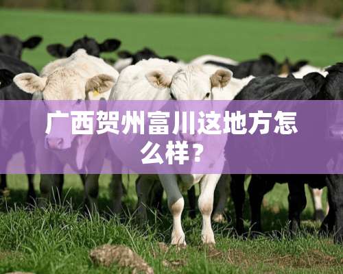 广西贺州富川这地方怎么样？