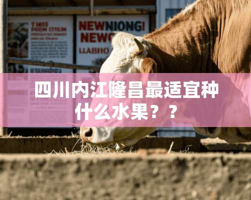 四川内江隆昌最适宜种什么水果？？