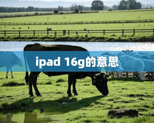 ipad 16g的意思