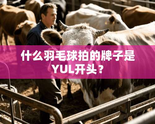 什么羽毛球拍的牌子是YUL开头？