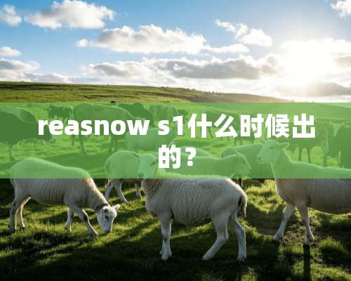 reasnow s1什么时候出的？