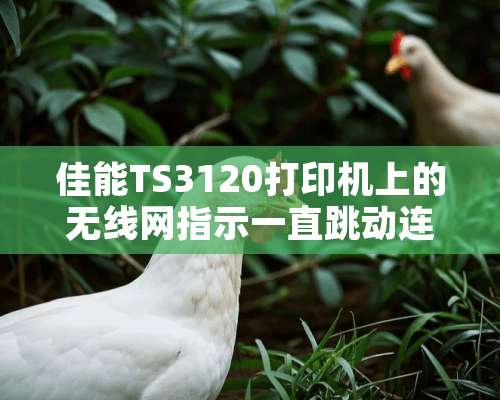 佳能TS3120打印机上的无线网指示一直跳动连不上网怎么办？