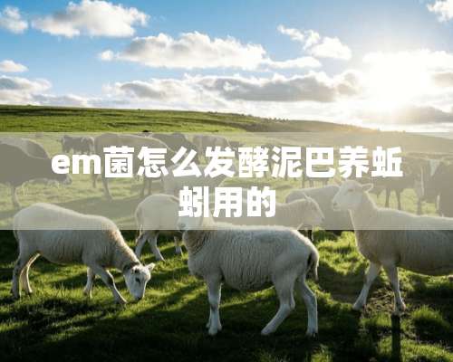 em菌怎么发酵泥巴养蚯蚓用的