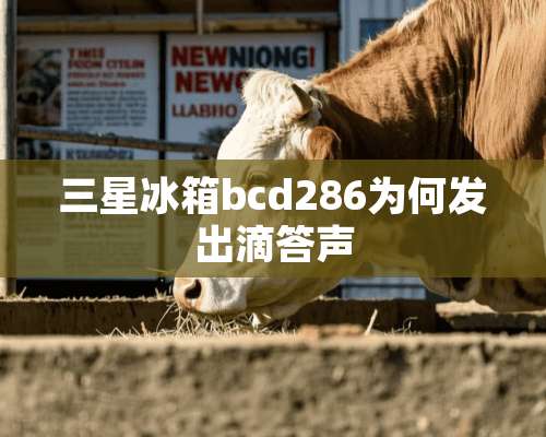 三星冰箱bcd286为何发出滴答声