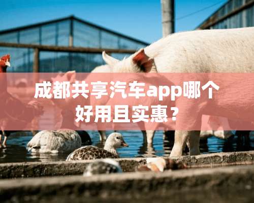 成都共享汽车app哪个好用且实惠？