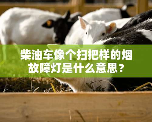 柴油车像个扫把样的烟故障灯是什么意思？