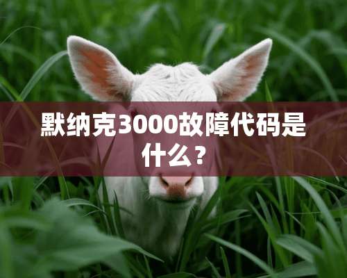 默纳克3000故障代码是什么？