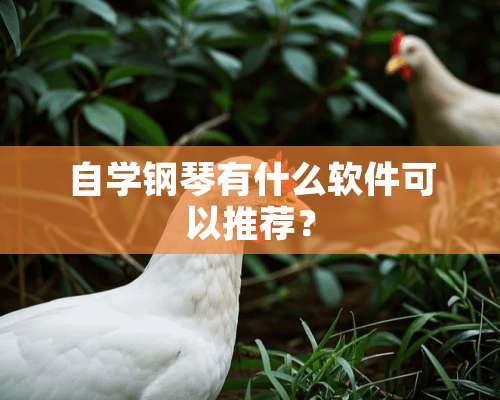 自学钢琴有什么软件可以推荐？