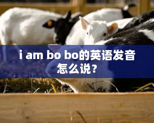 i am bo bo的英语发音怎么说？