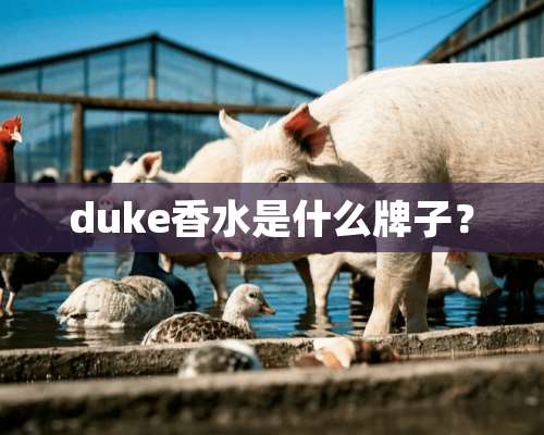 duke香水是什么牌子？