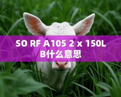 SO RF A105 2 x 150LB什么意思