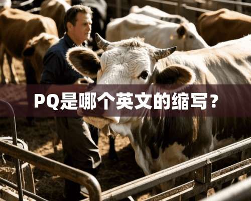 PQ是哪个英文的缩写？