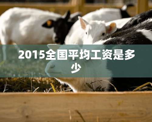 2015全国平均工资是多少