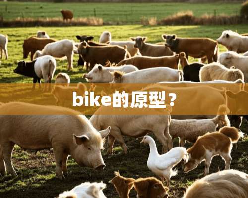 bike的原型？