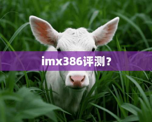 imx386评测？