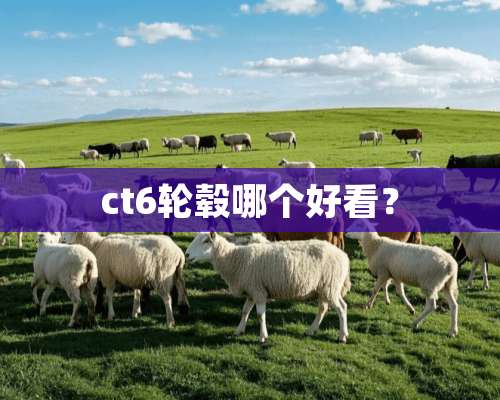 ct6轮毂哪个好看？