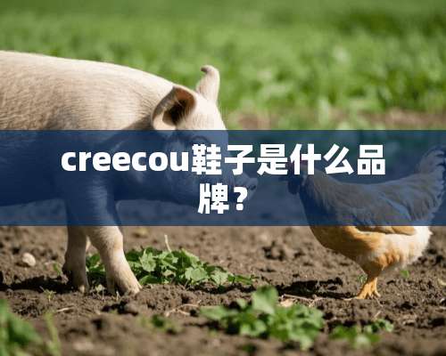 creecou鞋子是什么品牌？