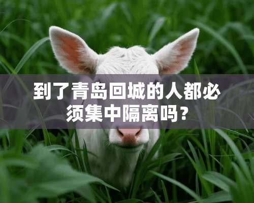 到了青岛回城的人都必须集中隔离吗？