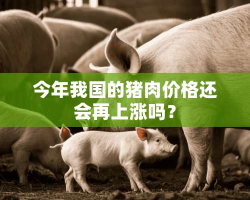 今年我国的猪肉价格还会再上涨吗？