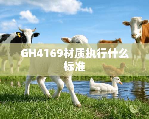 GH4169材质执行什么标准