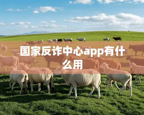 国家反诈中心app有什么用