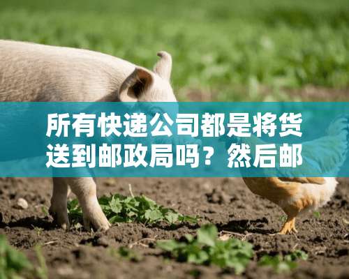 所有快递公司都是将货送到邮政局吗？然后邮递员送货吗？