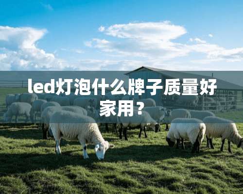 led灯泡什么牌子质量好家用？