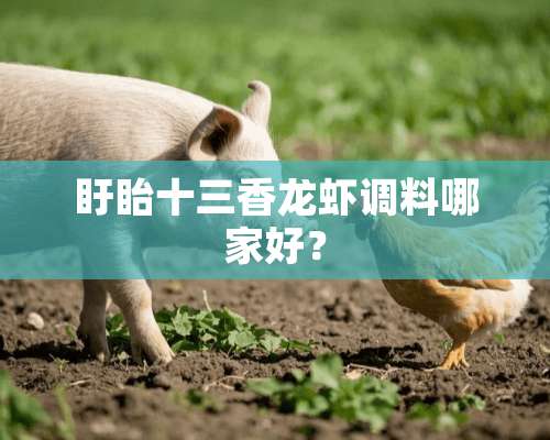 盱眙十三香龙虾调料哪家好？