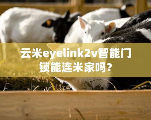 云米eyelink2v智能门锁能连米家吗？