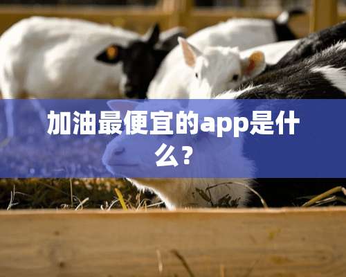 加油最便宜的app是什么？