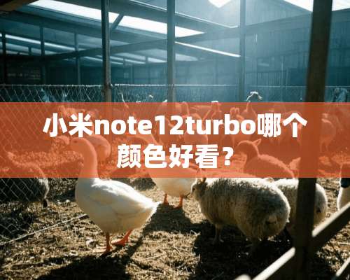 小米note12turbo哪个颜色好看？