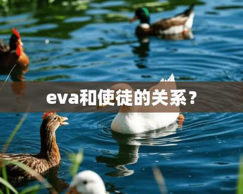 eva和使徒的关系？