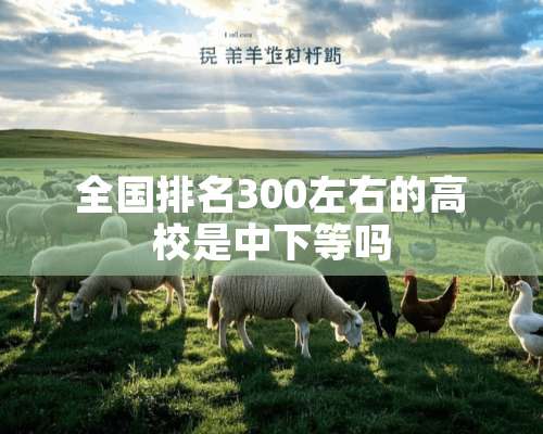 全国排名300左右的高校是中下等吗