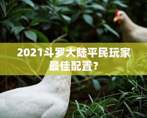 2021斗罗**平民玩家最佳配置？