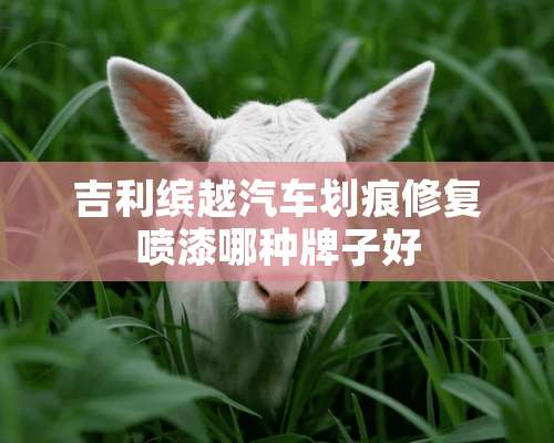 吉利缤越汽车划痕修复喷漆哪种牌子好