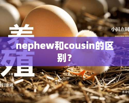 nephew和cousin的区别？