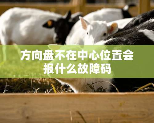 方向盘不在中心位置会报什么故障码