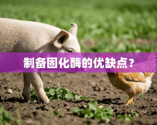 制备固化酶的优缺点？