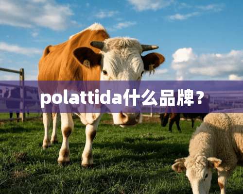 polattida什么品牌？