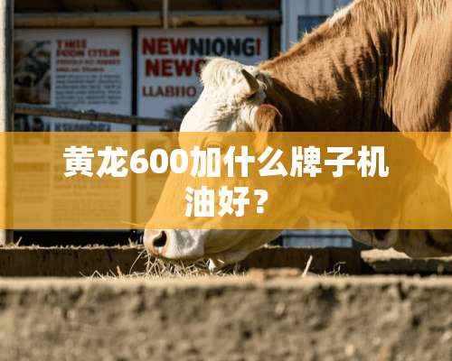 黄龙600加什么牌子机油好？